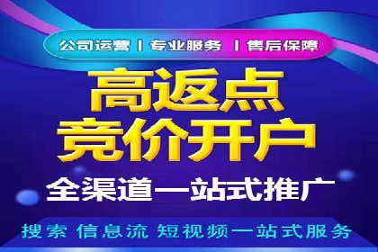 百度搜索推广案例集锦：实战技巧分享